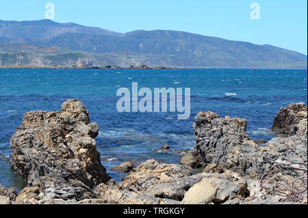 Schroffe Felsen am Rande des Lyall Bay in Wellington, Neuseeland. Stockfoto