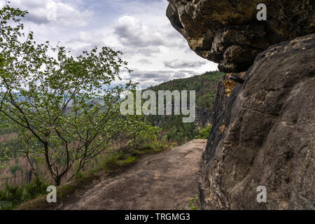 Wanderweg in der Sächsischen Schweiz zur idagrotte, Deutschland Stockfoto