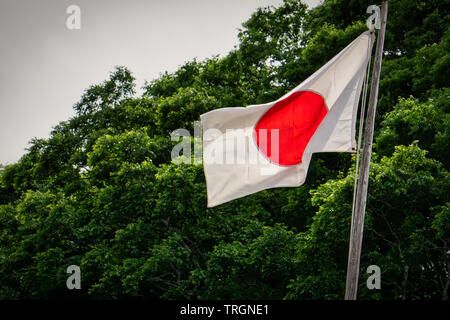 Eine japanische Flagge im Wind Shimoda, Japan. Stockfoto