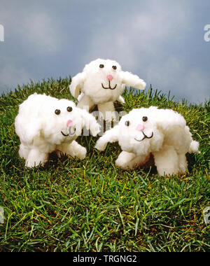 Drei Spielzeug Lämmer auf Gras Stockfoto