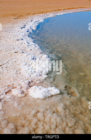 Endorheic salt lake mit flachen Pool von salzigem Wasser und einer S-förmigen Rand kristallisiertes Salz. Chott el Djerid, Tunesien. Stockfoto