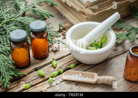 Flaschen von homöopathischen Globuli, Thuja occidentalis Pflanze, alte Bücher und Mörtel. Homöopathische Medizin. Stockfoto