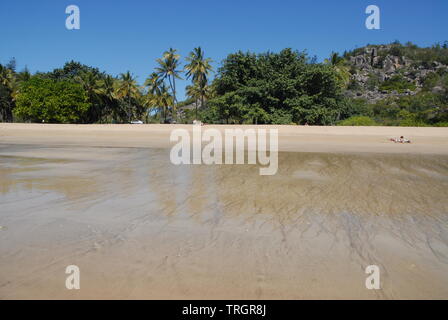 Palmen gesäumten tropischen Strand bei Ebbe, unter einem perfekten blauer Himmel, Radical Bay, Magnetic Island, Queensland, Australien Stockfoto