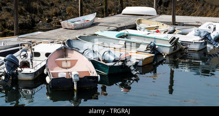 Viele kleine Boote sind zu einem Dock und jede andere an der Küste von Maine, USA gebunden. Stockfoto