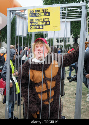 Blick auf den Trumpf Gorilla im Parlament Platz gegen den Besuch von Präsident Donald Trump nach London protestieren im Juni 2019 Stockfoto