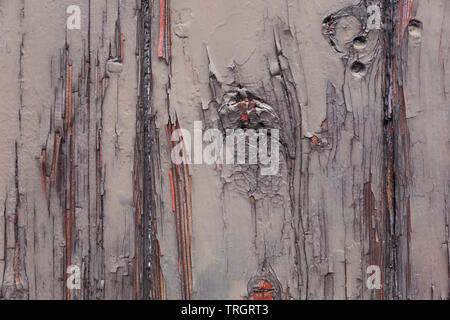 Close-up Peeling olivgrün Lack rot Grundierung an der Seite des alten geknotet Holzeisenbahn Güterwagen in Didcot Railway Centre, Oxfordshire. Stockfoto