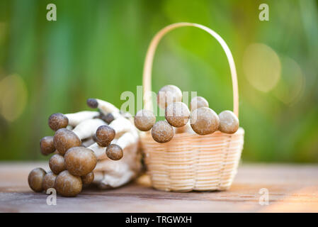 Shimeji Pilz auf Korb Holz- und Natur grüner Hintergrund Stockfoto