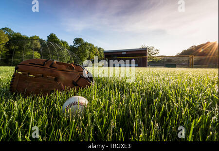 Baseball und Handschuh im taunassen Gras am frühen Morgen Frühling Stockfoto