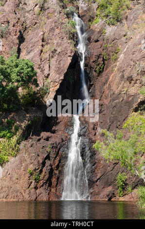 Wangi Falls im Litchfield National Park, Northern Territory, Australien Stockfoto