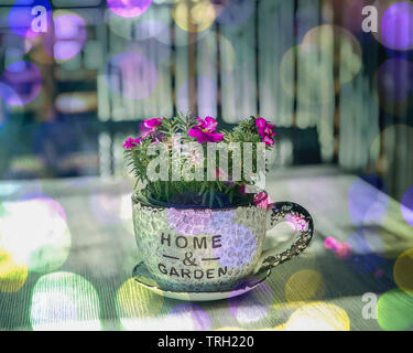 Rosa Blumen in eine Tasse und Untertasse Blumentopf mit Bokeh im Hintergrund. Stock Bild. Stockfoto