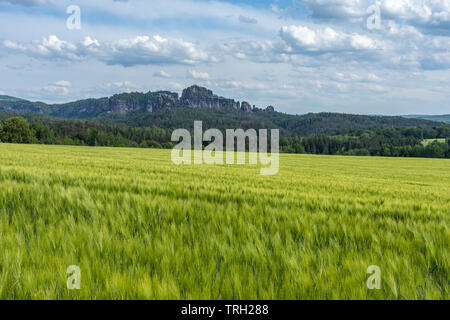 Panoramablick auf schrammstein Felsen in der Sächsischen Schweiz, Deutschland Stockfoto