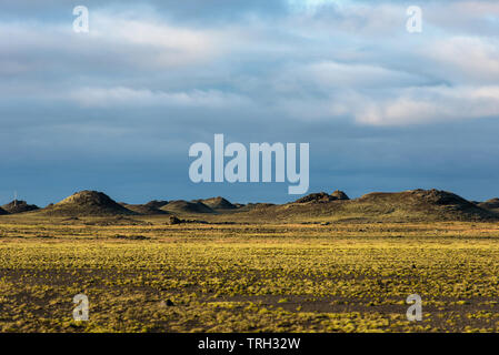 Lavafeld Eldhraun, Durchfluss und Ridge mit grünem Moos in Island abgedeckt Stockfoto