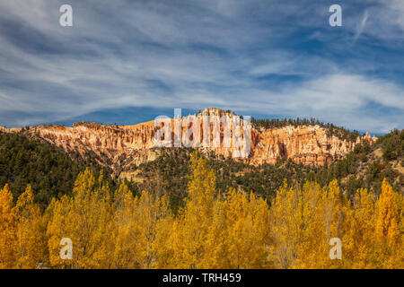 Goldene Laub entlang der Autobahn 89 in der Nähe von Glendale im Herbst, Kane County, Utah Stockfoto