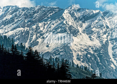 Eine Nahaufnahme von schneebedeckten Gipfeln des Himalaya, während in Richtung Rothang Pass von Manali. Pinien Spannen in die Landschaft. Stockfoto