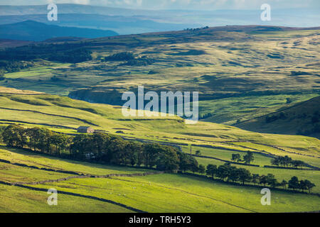 Hooksbank und Wharfedale, Kettlewell, Yorkshire Dales National Park, England, Großbritannien Stockfoto