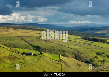 Hooksbank und Wharfedale, Kettlewell, Yorkshire Dales National Park, England, Großbritannien Stockfoto