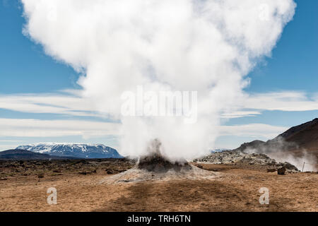 Eine dampfende Fumarole in den hochaktiven geothermalen Gebiet am Námafjall (hverir), in der Nähe von Mývatn in North-east Iceland Stockfoto