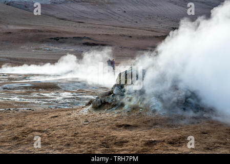 Eine dampfende Fumarole in den hochaktiven geothermalen Gebiet am Námafjall (hverir), in der Nähe von Mývatn in North-east Iceland Stockfoto