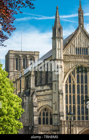 Winchester Cathedral von Cathedral Grün gesehen. Winchester. Hampshire. England. UK. Stockfoto