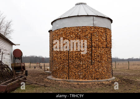 Feld Mais in der Krippe, Amish Farm, Indiana gespeichert, von James D Coppinger/Dembinsky Foto Assoc Stockfoto