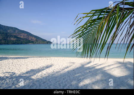 Leeren, weißen Strand mit Kokospalmen Blatt im tropischen Meer Stockfoto