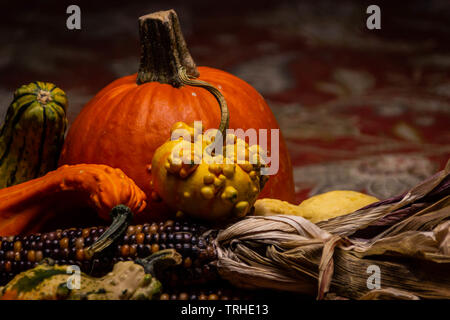 Bunte Kürbisse und Zucchini, Kürbisse, und Feuerstein Mais liegen auf einem Tisch im Herbst. Stockfoto