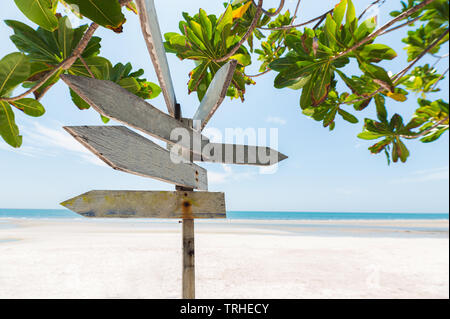 Pfeile aus Holz Namensschild am Strand mit grüne Pflanze im Sommer Meer Stockfoto