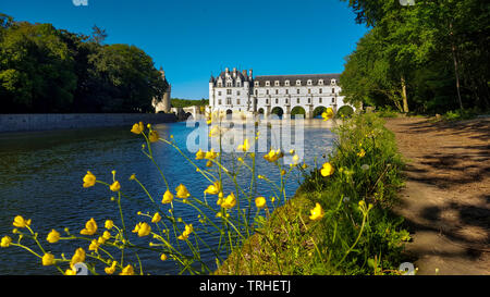 Schloss Chenonceau überspannt den Fluss Cher, Tal der Loire, Indre et Loire, Center-Val de Loire, Frankreich Stockfoto