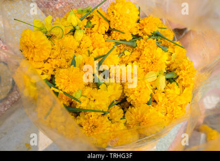 Ringelblume blumen Menge im Beutel Kunststoff Stockfoto