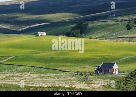 Teesdale, County Durham, UK. 6. Juni 2019. UK Wetter. Nach mehreren Tagen von schweren Duschen Die Sonne bricht durch in der North Pennines. Dies schafft ideale Voraussetzungen für die traditionell verwalteten Hochland wilde Blume mähwiesen der oberen Teesdale in Blume zu kommen. Quelle: David Forster/Alamy leben Nachrichten Stockfoto