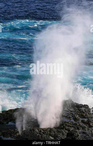 Wasserbrüchen durch Blowhole an der Küste von Espanola Island, Galapagos, Ecuador. Stockfoto