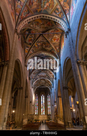 Kirchenschiff, Interieur, Dom oder Kathedrale des Hl. Donato und St. Peter, Arezzo, Toskana, Italien, Europa, Stockfoto