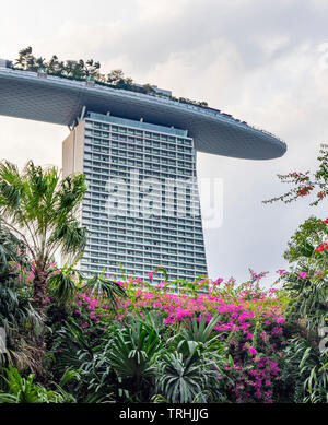 Tropischer Garten Gärten durch die Bucht und die Marina Bay Hotel Resort mit Swimmingpool auf der Dachterrasse die Gärten an der Bucht von Singapur. Stockfoto