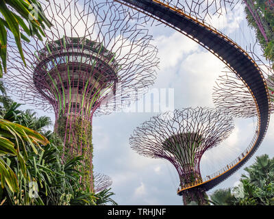 Erhöhten Laufsteg weben zwischen Künstliche Bäume in der Supertree Grove vertikale Garten in der Gartenanlage an der Bucht von Singapur. Stockfoto