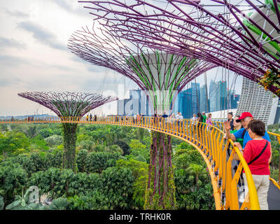 Touristen auf dem erhöhten Laufsteg OCBC Skyway zwischen zwei Der Supertrees in der Supertree Grove an Gärten an der Bucht von Singapur. Stockfoto