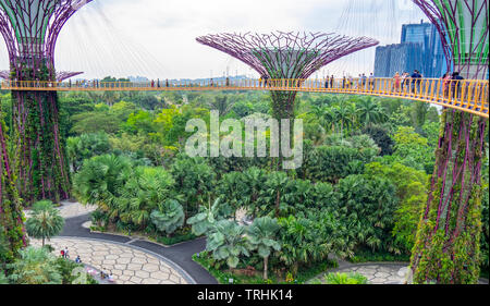 Touristen auf dem erhöhten Laufsteg OCBC Skyway zwischen zwei Der Supertrees in der Supertree Grove an Gärten an der Bucht von Singapur. Stockfoto