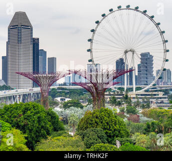 Singapore Flyer Riesenrad und Millenia Tower und Supertree Grove vertikale Garten in der Gartenanlage an der Bucht von Singapur. Stockfoto