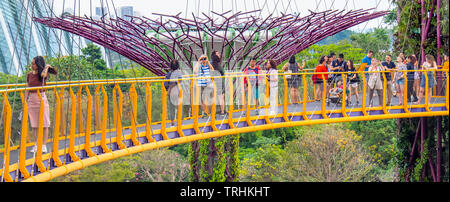 Touristen auf dem erhöhten Laufsteg OCBC Skyway zwischen zwei Der Supertrees in der Supertree Grove an Gärten an der Bucht von Singapur. Stockfoto