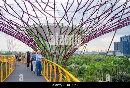 Touristen auf dem erhöhten Laufsteg OCBC Skyway zwischen zwei Der Supertrees in der Supertree Grove an Gärten an der Bucht von Singapur. Stockfoto