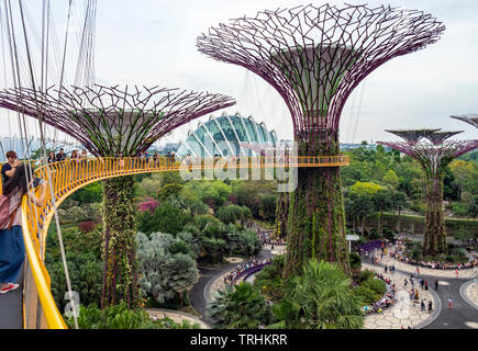 Touristen auf dem erhöhten Laufsteg OCBC Skyway zwischen zwei Der Supertrees in der Supertree Grove an Gärten an der Bucht von Singapur. Stockfoto