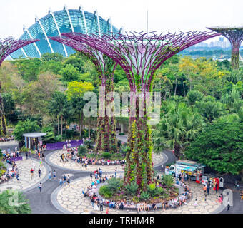 Touristen gehen zwischen den künstlichen Bäume in der Supertree Grove vertikale Garten in der Gartenanlage an der Bucht von Singapur. Stockfoto