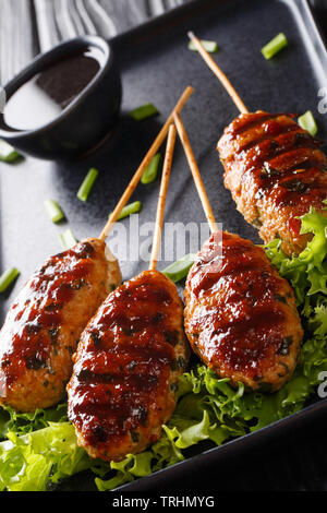 Tsukune sind japanische Hühnerfleisch Kugeln mit einer Art Teriyaki-sauce Closeup auf einem Teller. Vertikale Stockfoto
