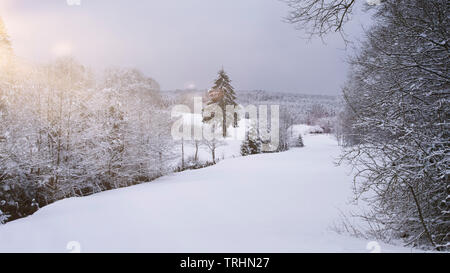 Landschaft mit Schnee und Sonne in Brilon, Sauerland. Diese Landschaft kann in der Nähe der Altenbürener Mühle verschneiten Wald unter hohem Schnee Layer gemischt gefunden werden. Stockfoto