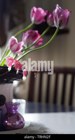 Auf einem dunklen Tabelle ist ein Strauß von rosa Blüten. Sie sind blutende Herz (Lamprocapnos Californica) und Tulpen (Tulipa). Geschwungene Form. Stockfoto