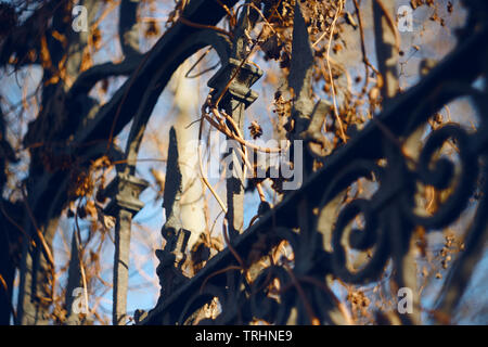 Metal twisted Zaun mit Mustern und Stangen, mit getrockneter Efeu im Herbst überwachsen und von der Sonne beschienen Stockfoto