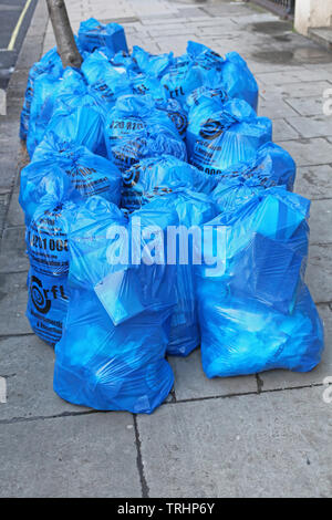 London, Großbritannien, 21. Januar 2013: Abfallsammlung und Recycling Blau Beutel an Street in London, UK. Stockfoto