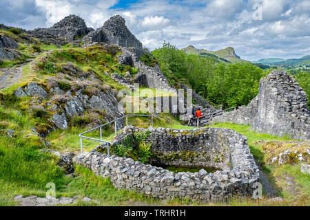 Castell y Bere, Dysynni Tal, Gwynedd, Wales Stockfoto