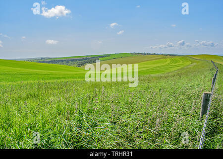 Ein Blick auf den Zaun entlang der pulsierenden sanften Hügel von Ditchling Beacon, England Stockfoto