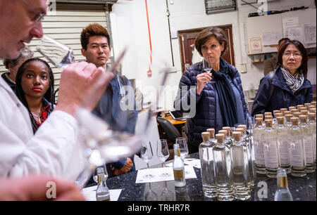 Gin Tasting von Danny Cameron am Dyfi Distillery, artisan Gin, der von Peter Cameron und Danny Cameron, Corris, Machynlleth, Wales Stockfoto