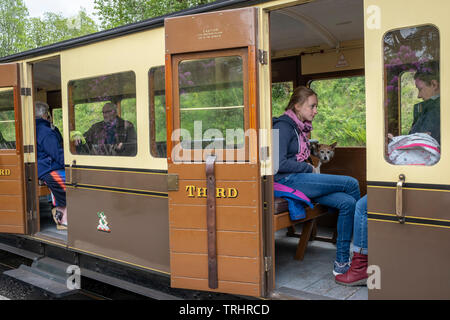 Touristen und Hund, Doggy, dritte Klasse Wagen auf der Plattform an der Devil's Bridge Station, Vale von rheidol Steam Railway, in der Nähe von Abertsywyth, Ceredigion, Wales Stockfoto